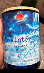 Load image into Gallery viewer, 17 OZ DOUBLE WICK CANDLE
